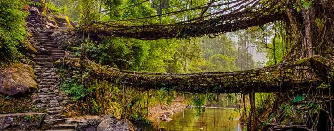 6 Best Places to Visit in Meghalaya for Nature Lovers